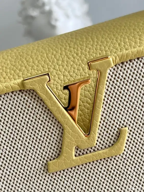 WIS VUITTON BB LOUIS CAPUCINES 0323